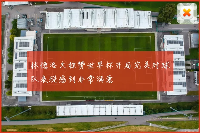 林德洛夫称赞世界杯开局完美对球队表现感到非常满意